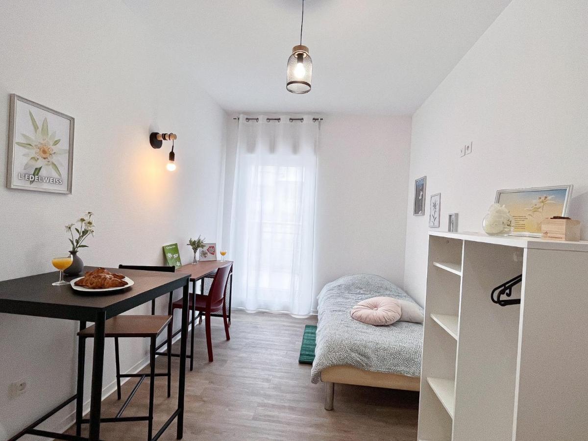 Le Paradis Fiscal, 5Min Bale, Parking Prive Saint-Louis  Bagian luar foto
