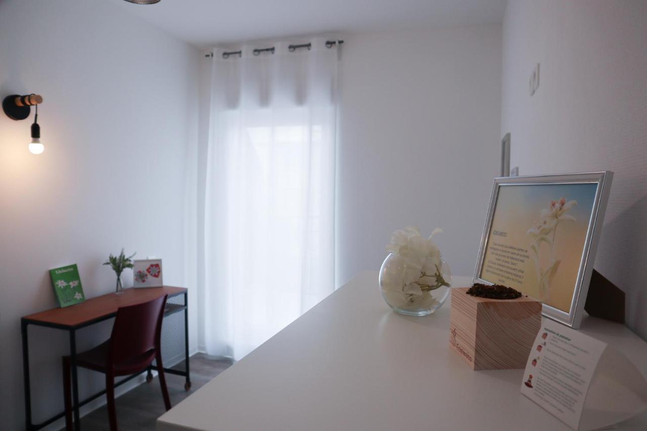 Le Paradis Fiscal, 5Min Bale, Parking Prive Saint-Louis  Bagian luar foto